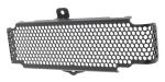 TRIUMPH Speed Triple S / RS Radiator Guard and Oelradiator Guard from 2016